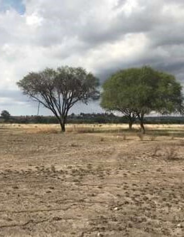 terreno-camino-a-la-cieneguita-1