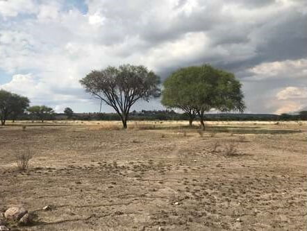 terreno-camino-a-la-cieneguita-1