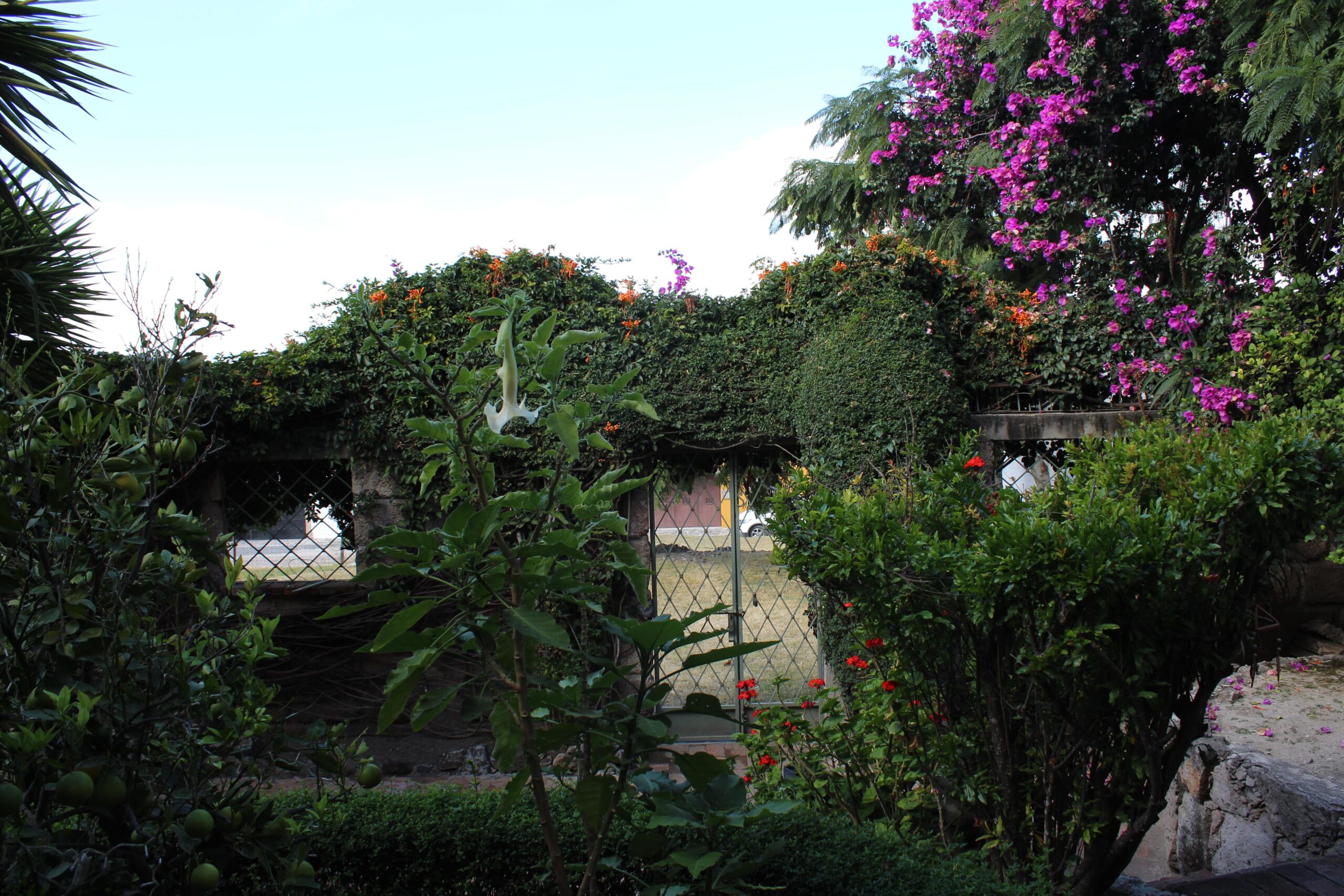 casa-atardeceres-int-48-min-scaled