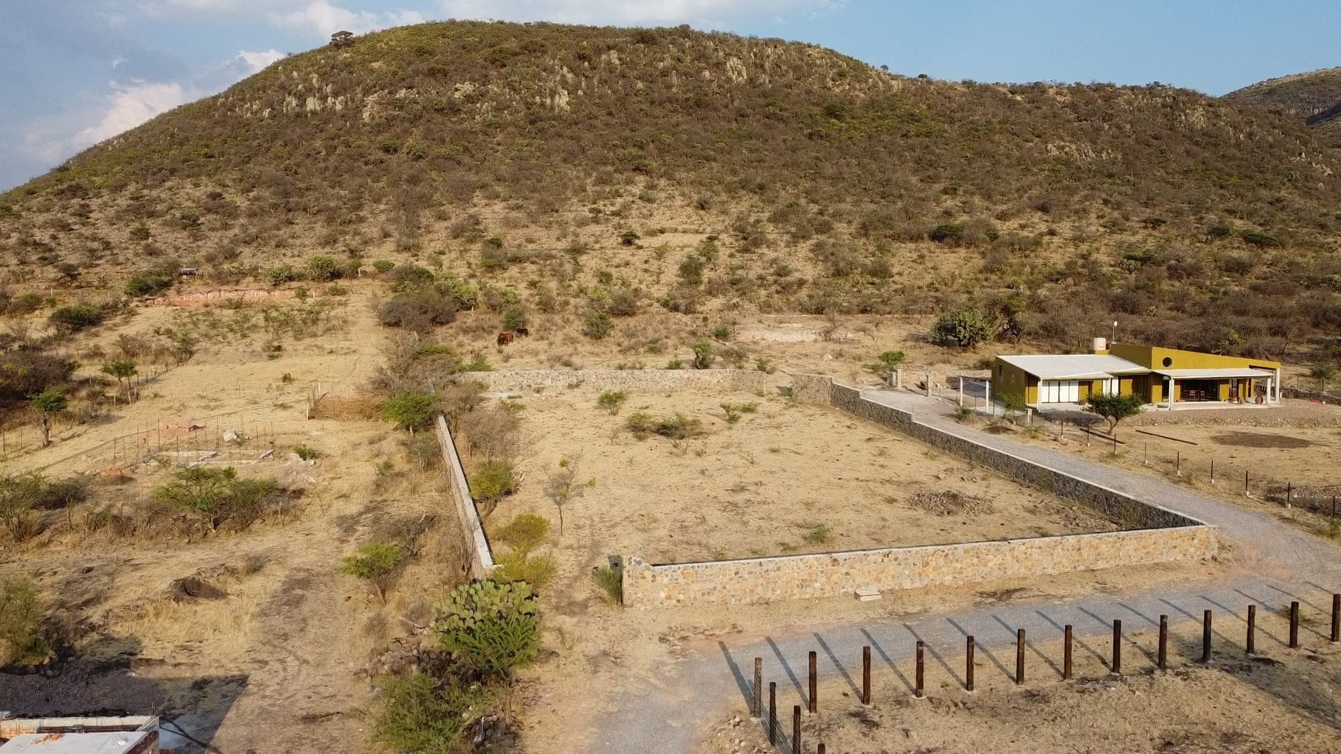 lote-cabras-3-min