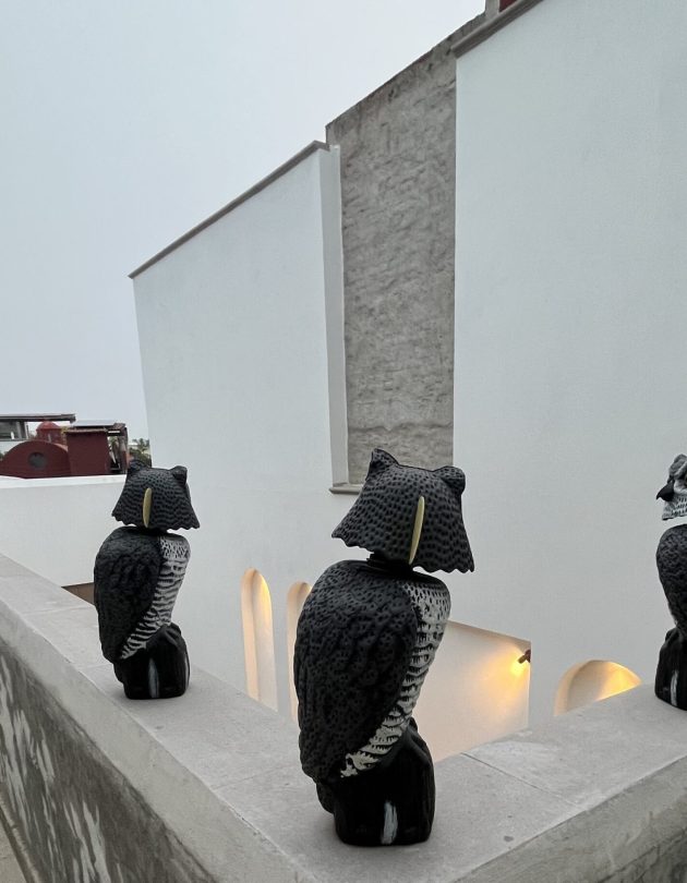 CASA BLANCA EN LA LEJONA-2-min