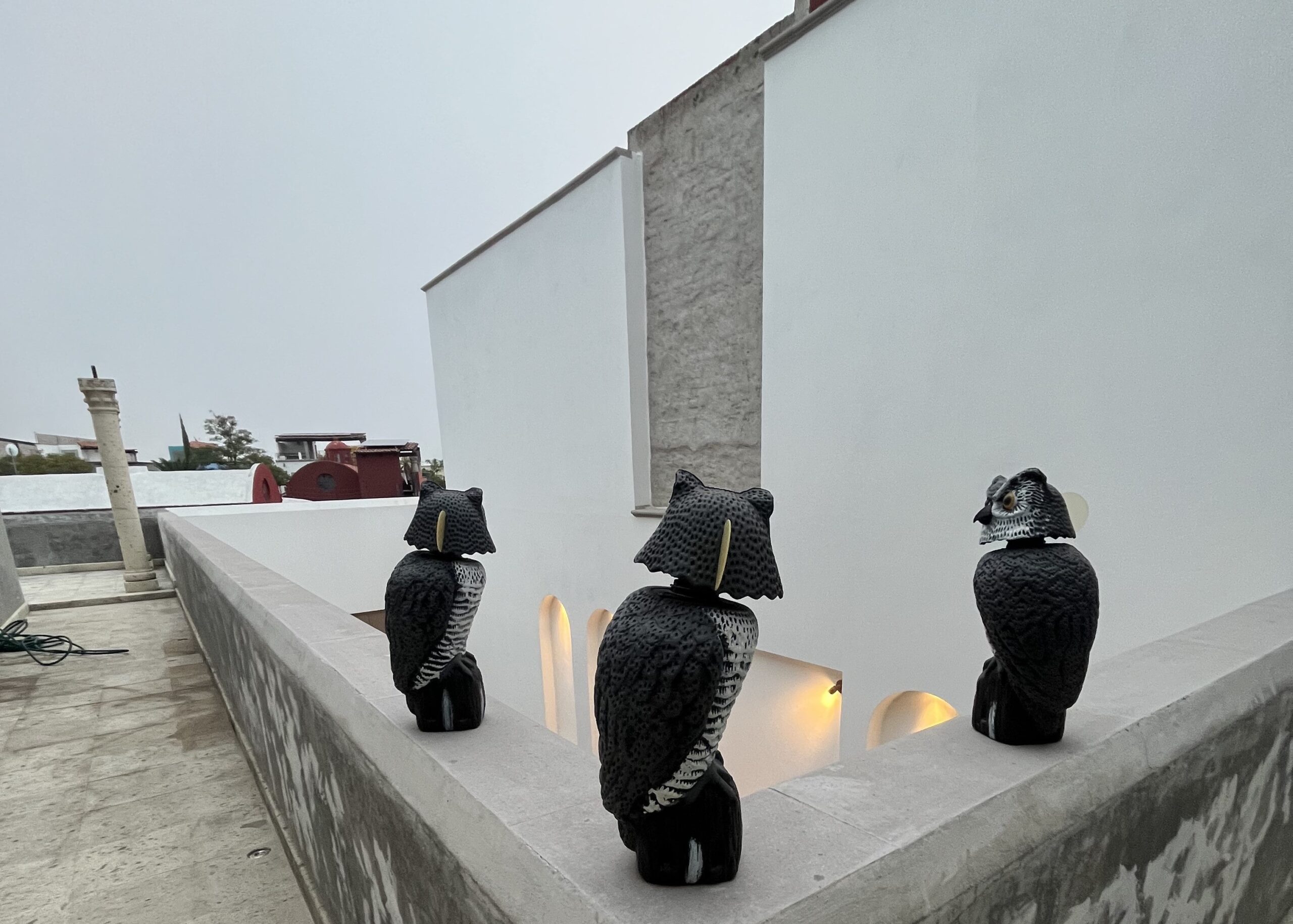 CASA BLANCA EN LA LEJONA-2-min