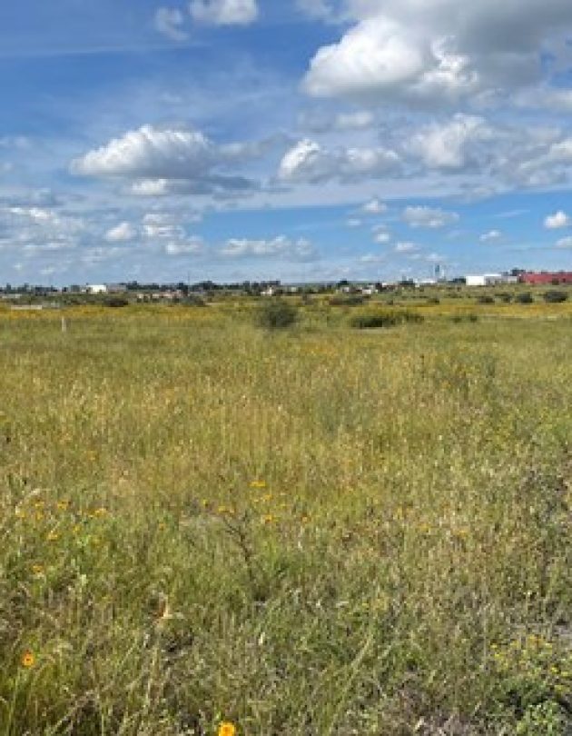 terreno-sosnabar-cañajo.venta-1 terreno-sosnabar-cañajo.venta-1