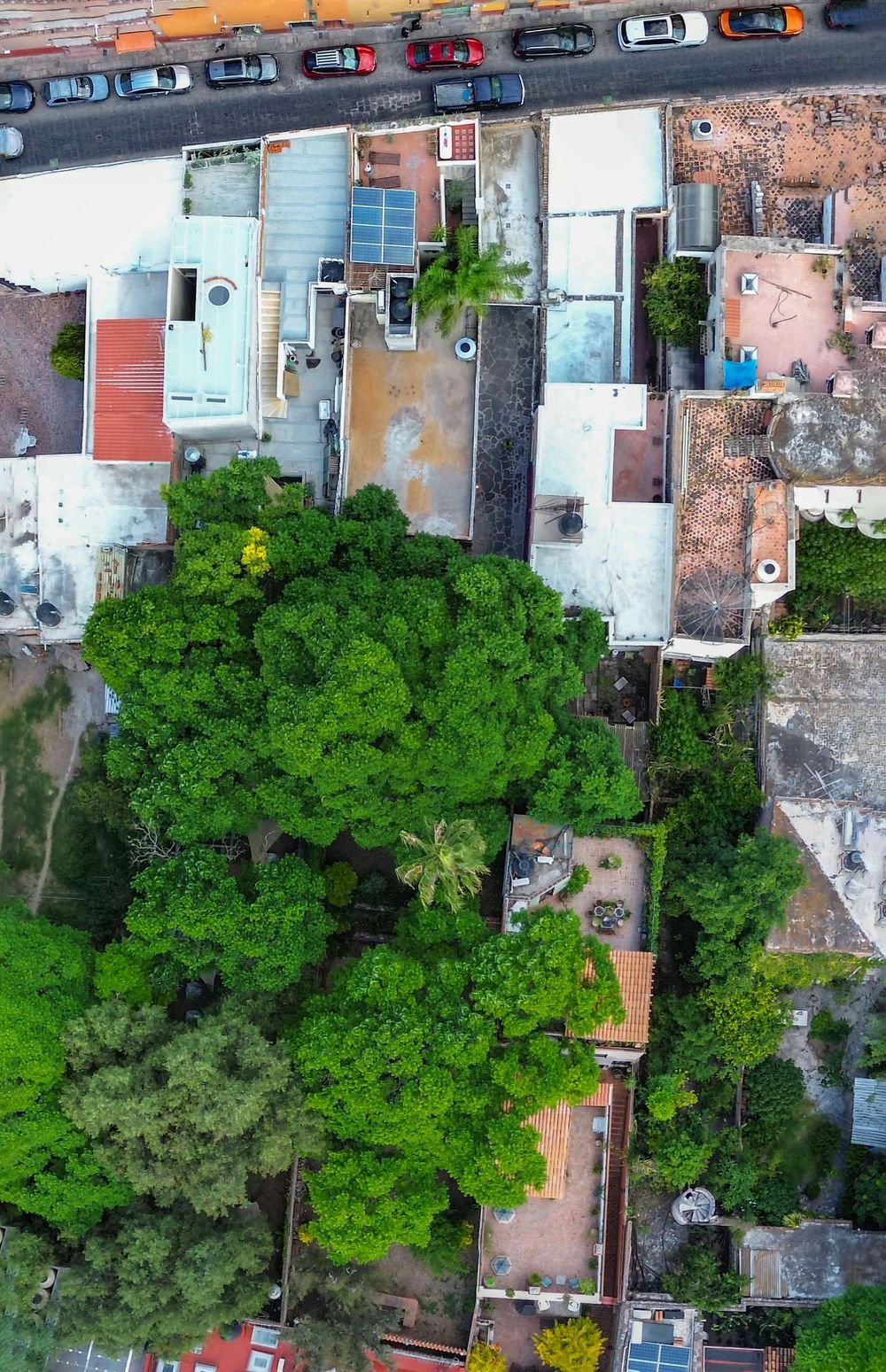 terreno-hidalgo-zona-centro-9